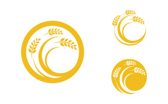 Farm Agriculture wheat rice vector illustration design v.14