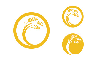 Farm Agriculture wheat rice vector illustration design v.15