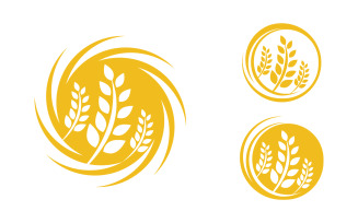 Farm Agriculture wheat rice vector illustration design v.18