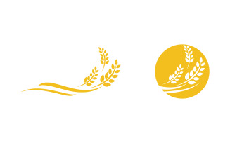 Farm Agriculture wheat rice vector illustration design v.22