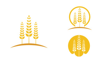 Farm Agriculture wheat rice vector illustration design v.24