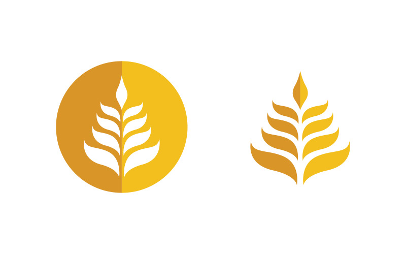 Farm Agriculture wheat rice vector illustration design v.25 Logo Template