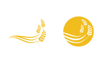 Farm Agriculture wheat rice vector illustration design v.26