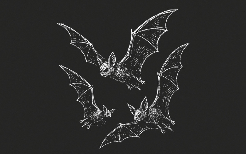 Vintage Bats PNG Clipart for Gothic Halloween Decor, Bat Drawing PNG Digital Download, Hand Drawn Illustration
