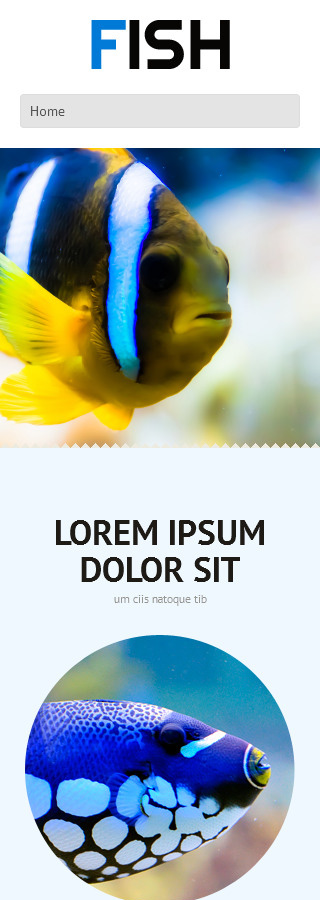 Smartphone Layout 2
