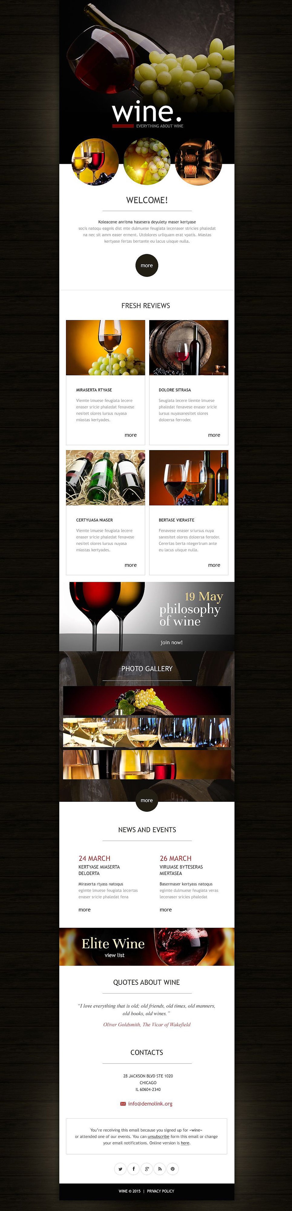 Wine Responsive Newsletter Template 53029