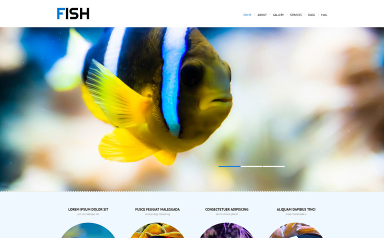 Zoo Responsive WordPress Theme Big Screenshot Zoo Responsive WordPress Theme New Screenshots BIG