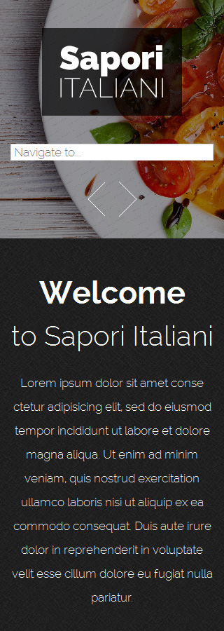 Kit Graphique #53164 Sapori Italien Drupal Framework Template - Smartphone Layout 2