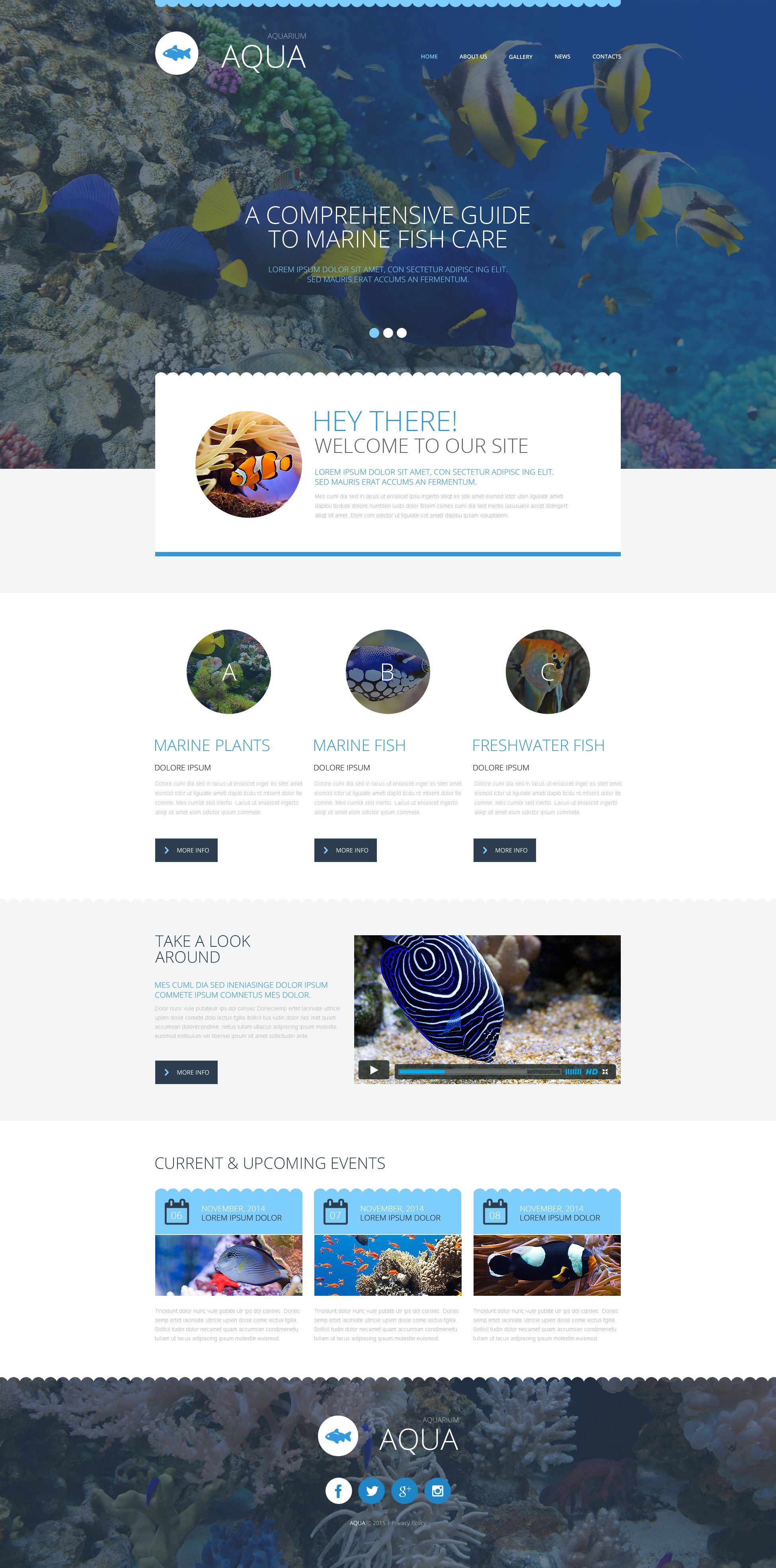 51 Aquarium Layout Design Software Gratis Terbaru