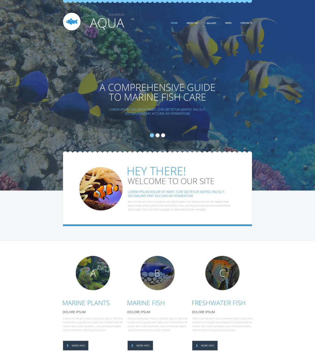 51 Aquarium Layout Design Software Gratis Terbaru