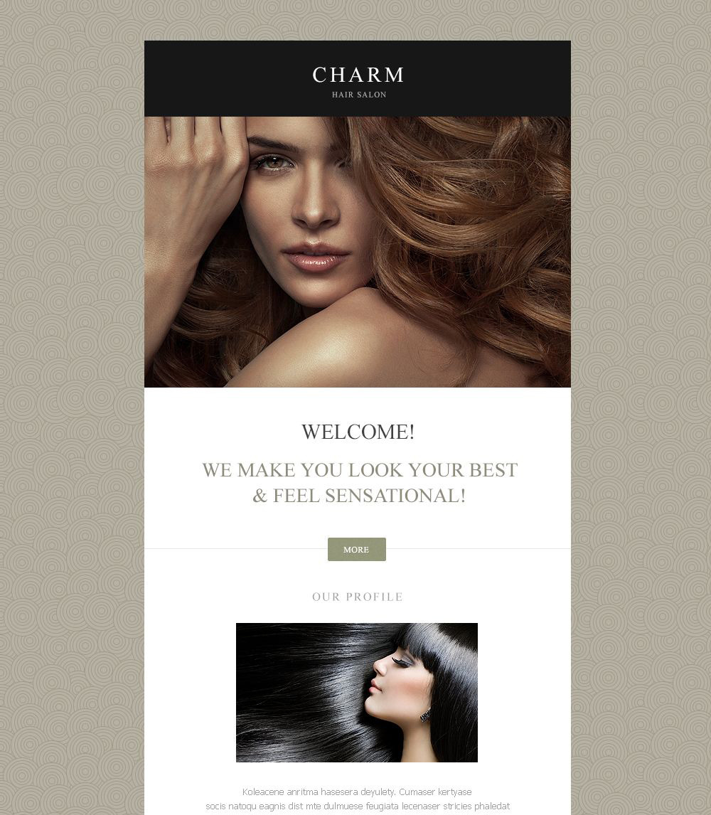 Live demo for Hair Salon Responsive Newsletter Template 53125