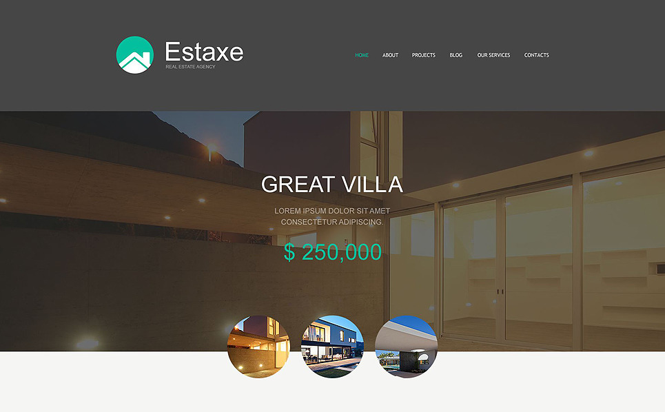 Real Estate Agency Muse Template 53197