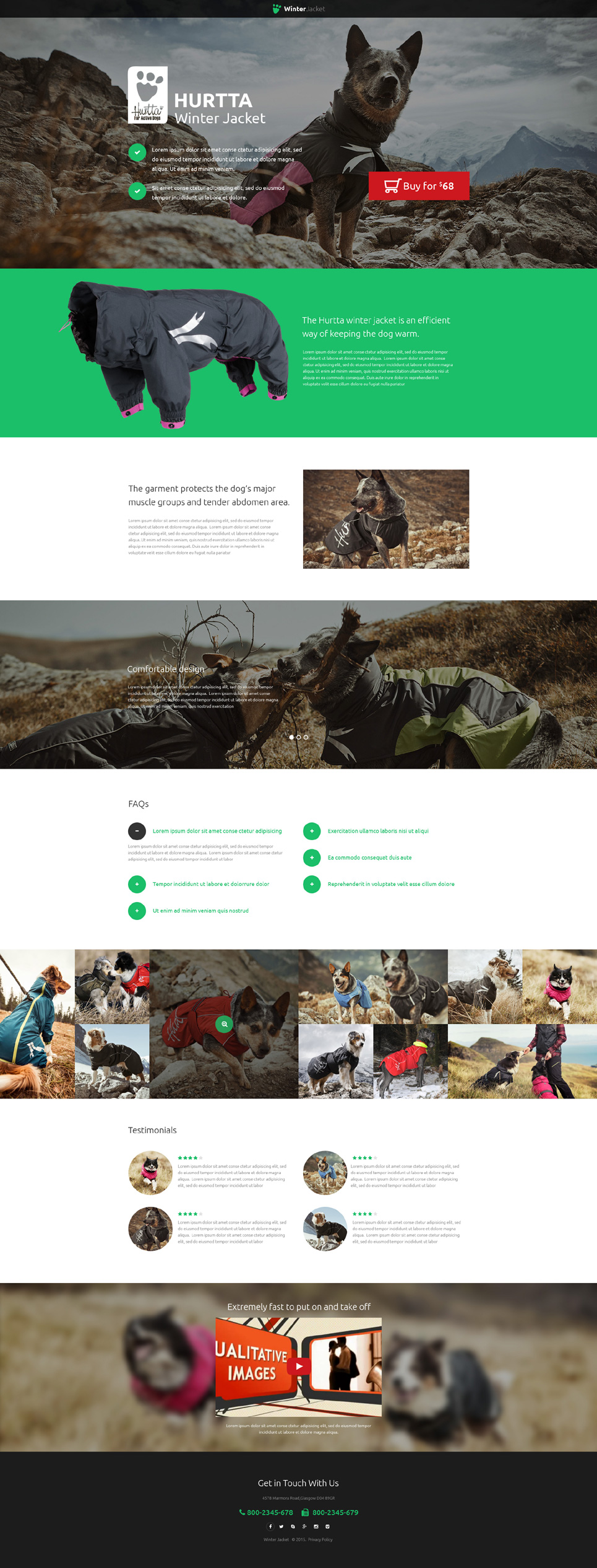 Animals & Pets Landing Page Template New Screenshots BIG