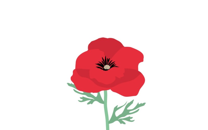 Vibrant Realistic Poppy Flower Illustration Vector Graphic