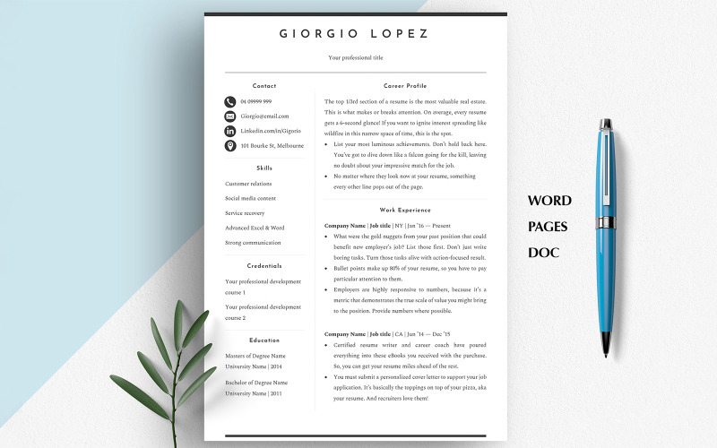 GOOGLE DOC RESUME, Modern Resume Word Template, Resume Template Basic, 2 Column Professional CV