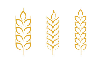 Agriculture Farm wheat rice vector illustration design v1.1