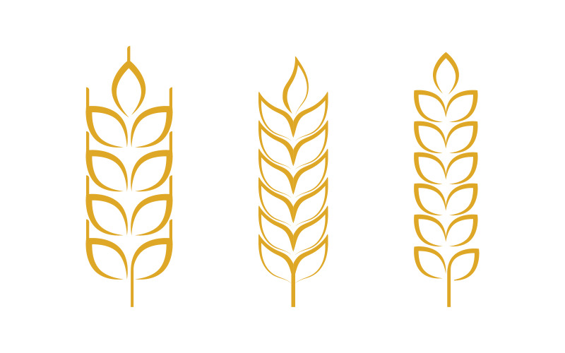 Agriculture Farm wheat rice vector illustration design v1.1 Logo Template