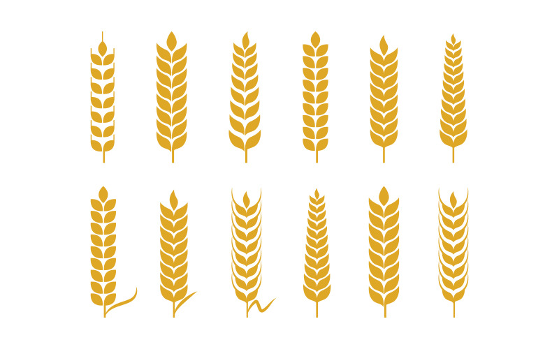 Agriculture Farm wheat rice vector illustration design v1.3 Logo Template