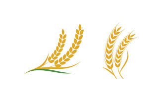 Agriculture Farm wheat rice vector illustration design v1.6