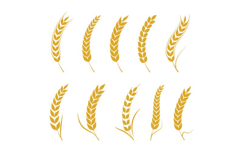 Agriculture Farm wheat rice vector illustration design v1.7 Logo Template