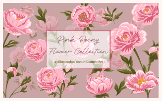 Pink Poeny Flower Collection