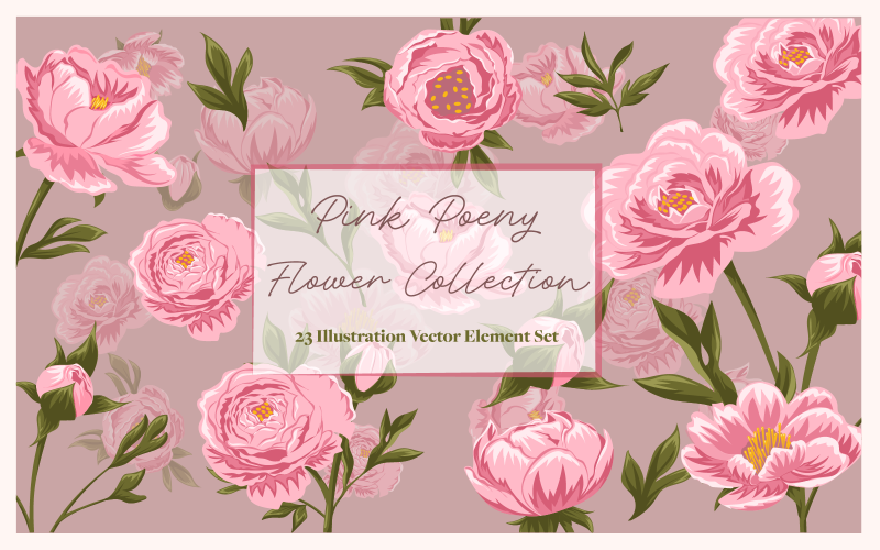Pink Poeny Flower Collection Icon Set