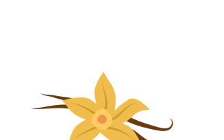 Vanilla Orchid Botanical Illustration with Beans Vector Art