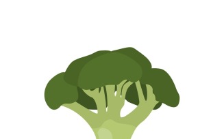 Nutrient-Rich Broccoli Superfood: Health Benefits & Culinary Inspiration