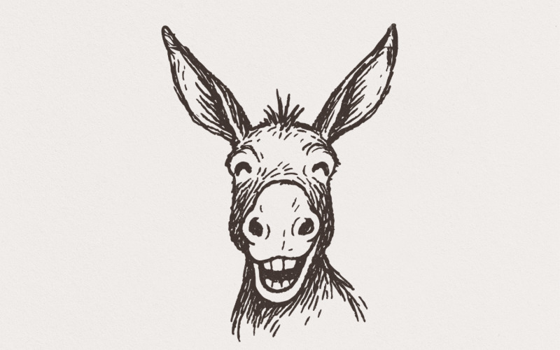 Funny Donkey PNG, Smiling Animal Clipart, Hand Drawn Farm Animal PNG, Digital Download Shirt Illustration