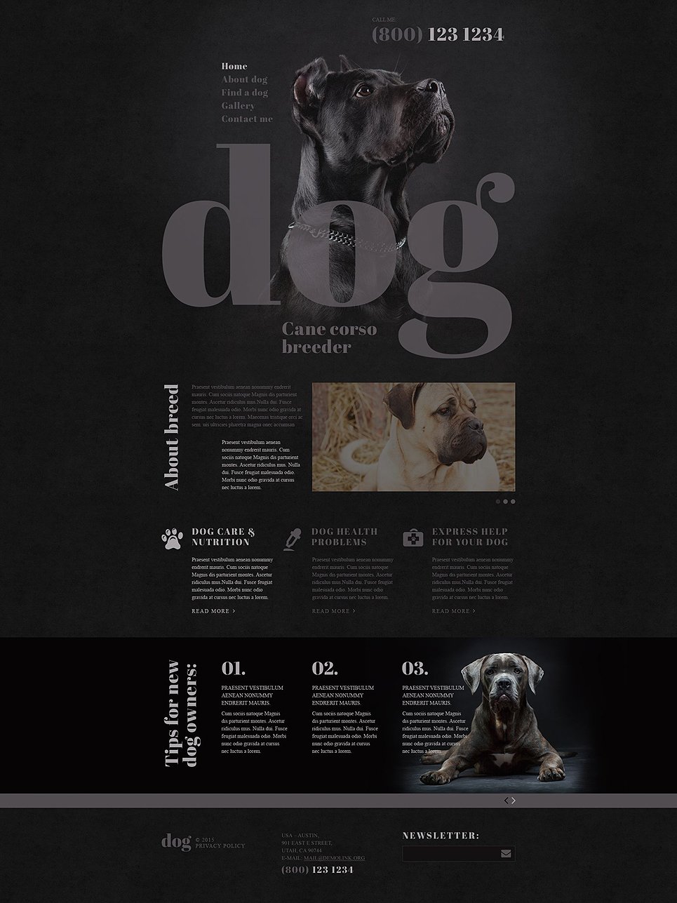 Dog Breeder Website Template New Screenshots BIG