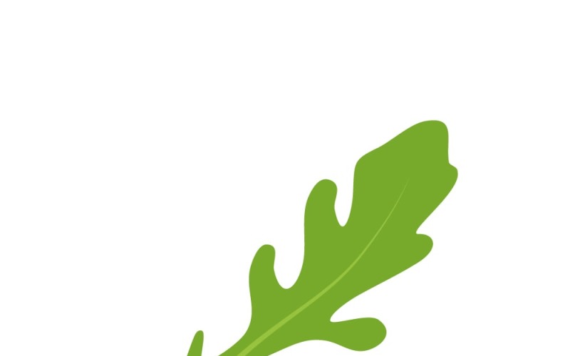 Fresh Organic Arugula Leaf Isolated Vector | Healthy Food Concept Vector Graphic