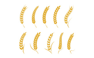 Agriculture Farm wheat rice vector illustration design v3.7