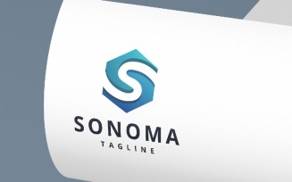 Hexagonal S Letter Logo Temp