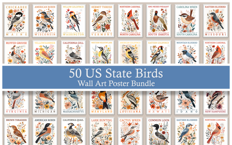 50 US State Birds Wall Art Poster Bundle Illustration
