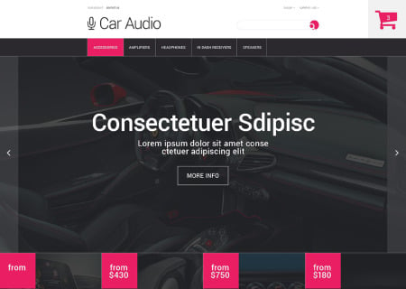 Car Audio Store
