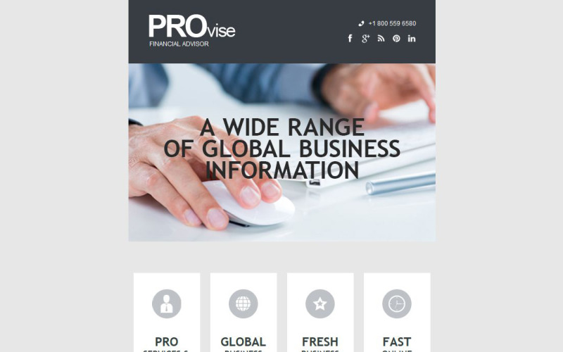 Business & Services Responsive Newsletter Template
