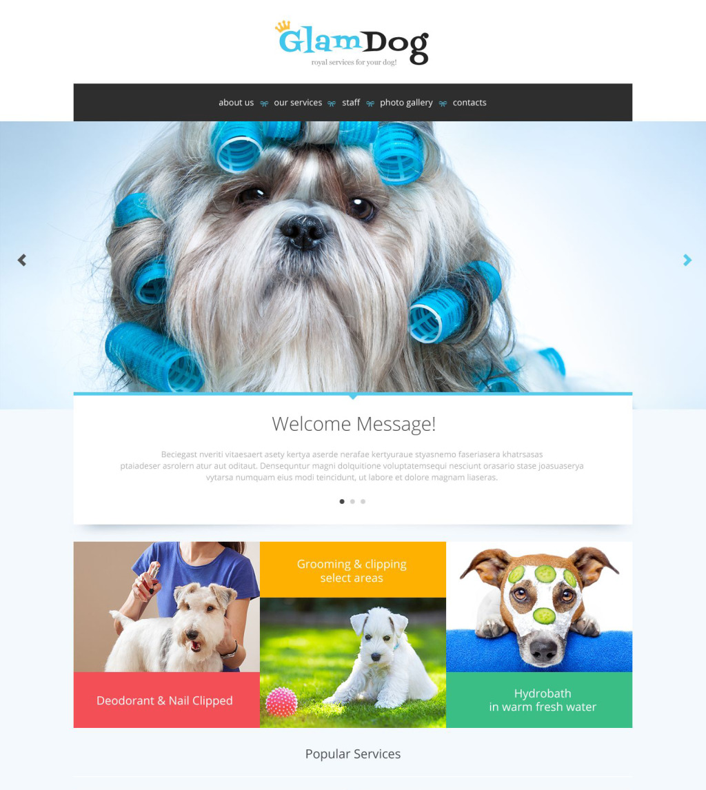 Dog Grooming Website Template
