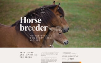 Horse Breeder WordPress Theme