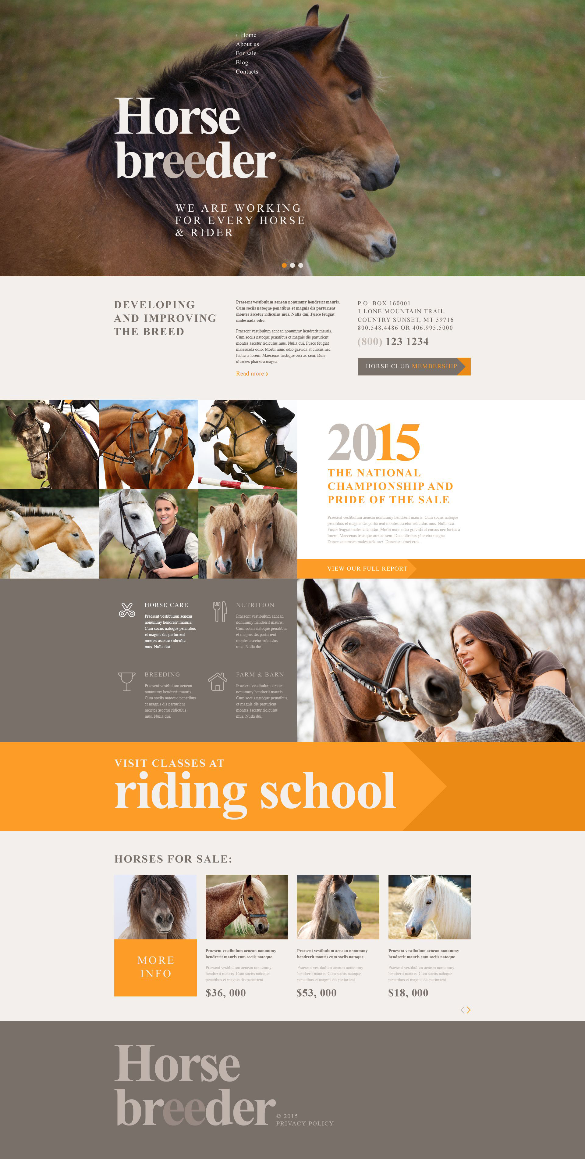 Tema De WordPress "Criador de Caballos" #53762