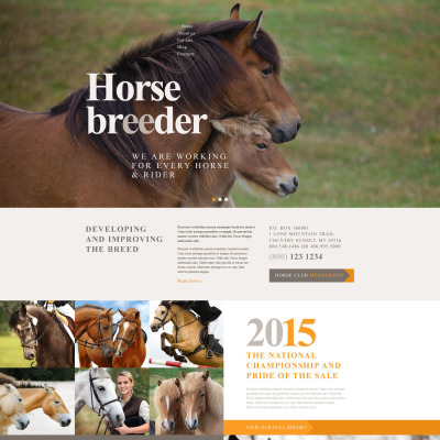 Responsives WordPress Theme für Pferd 