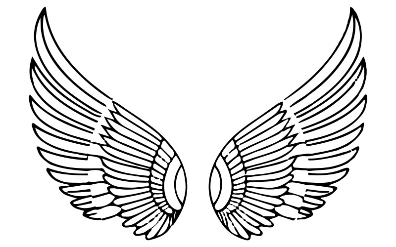 A bird wings silhouette art Illustration