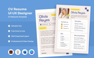 Professional Resume for Developers & Analysts