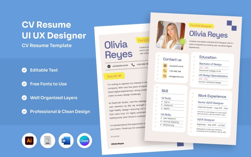 Professional Resume for Developers & Analysts Resume Template