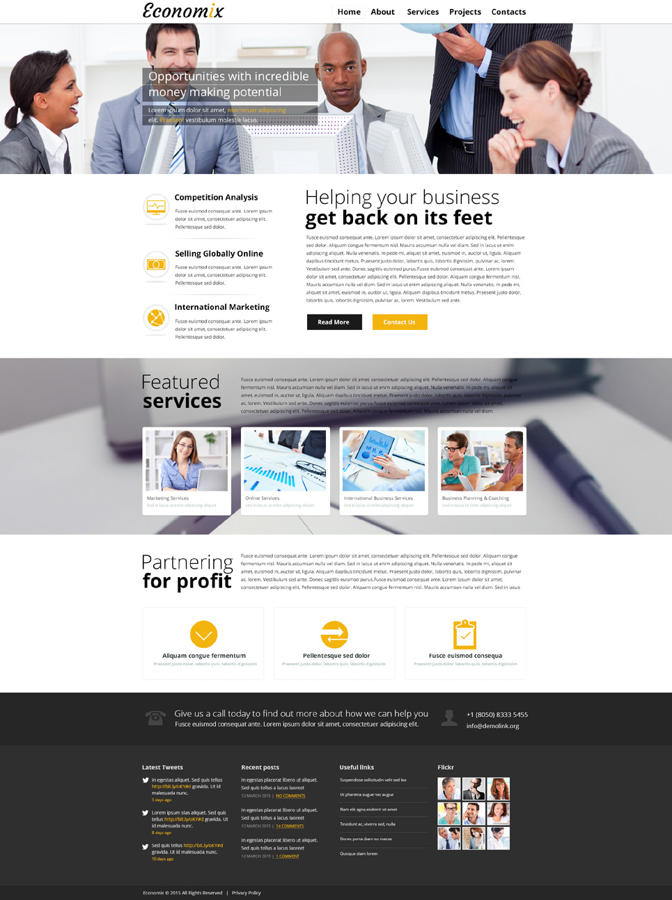 Economix Website Template New Screenshots BIG