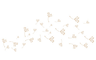 Dandelion Flower Logo Design Minimalist Template V1