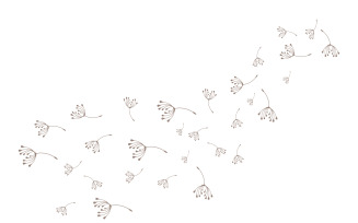 Dandelion Flower Logo Design Minimalist Template V2