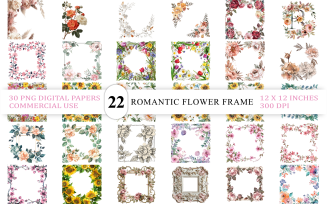 Elegant Blush Floral Frame Set | Light Vintage Bloom Frame | Spring Serenity Floral Overlay Bundle