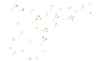 Dandelion Flower Logo Design Minimalist Template V13