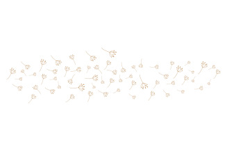 Dandelion Flower Logo Design Minimalist Template V14