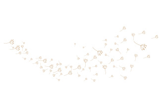 Dandelion Flower Logo Design Minimalist Template V19